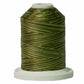 Signature 40: 700 yard Variegated Coloured Thread