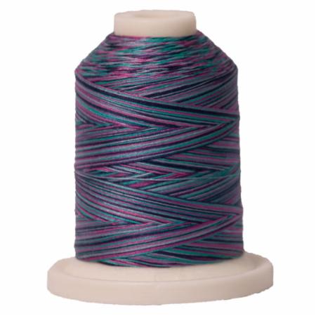 Signature 40: 700 yard Variegated Coloured Thread