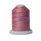 Signature 40: 700 yard Variegated Coloured Thread