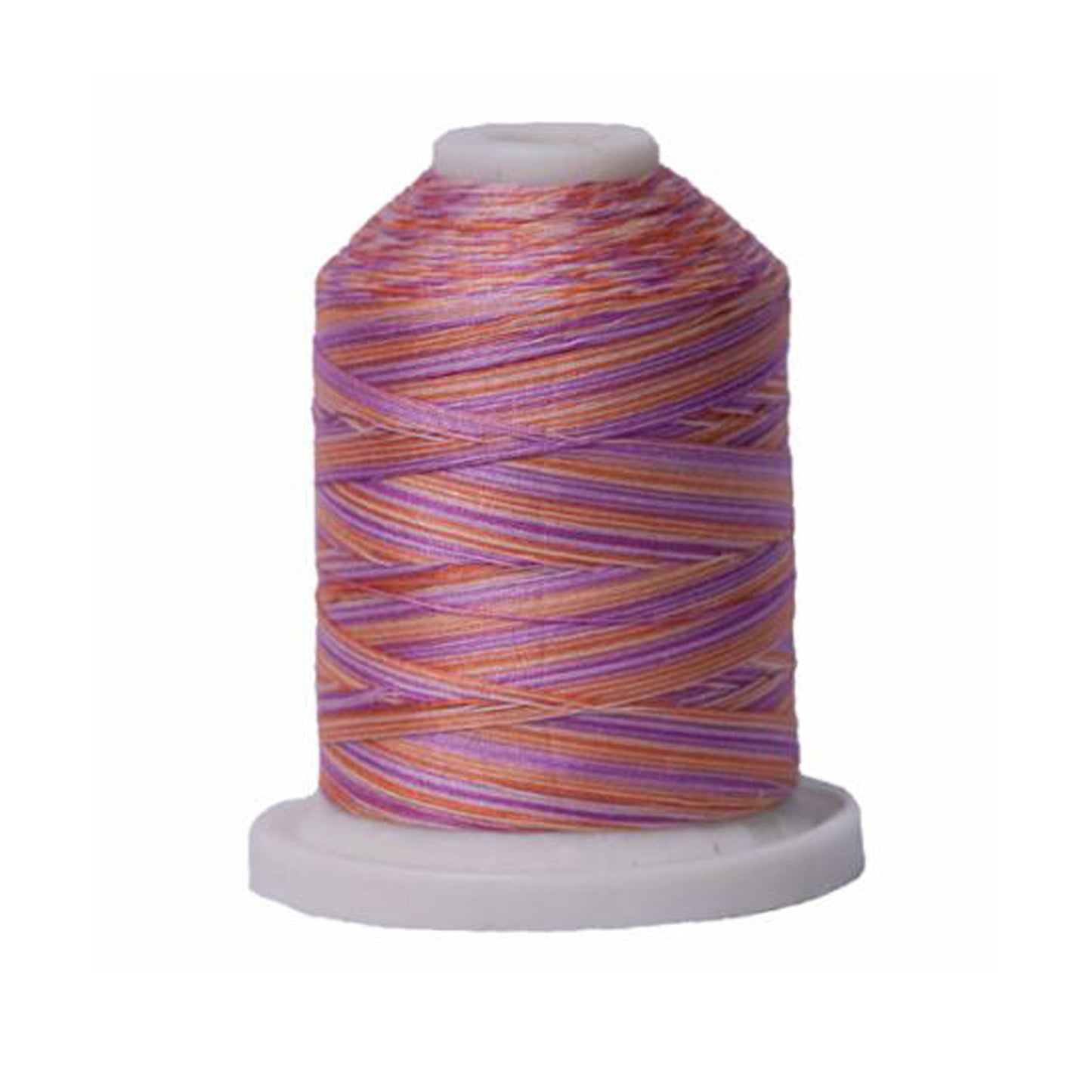 Signature 40: 700 yard Variegated Coloured Thread