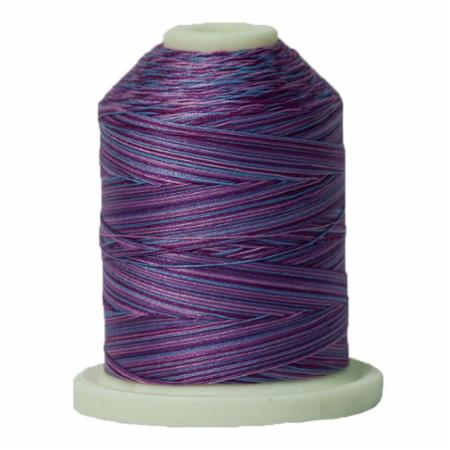 Signature 40: 700 yard Variegated Coloured Thread