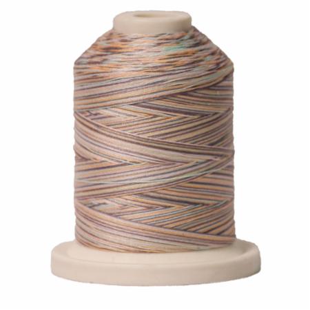 Signature 40: 700 yard Variegated Coloured Thread
