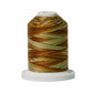 Signature 40: 700 yard Variegated Coloured Thread