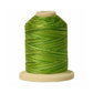 Signature 40: 700 yard Variegated Coloured Thread