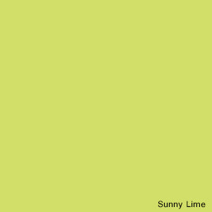 Signature 40: 3000 yard Solid Coloured Thread