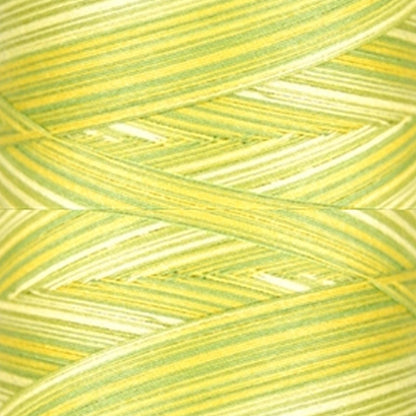 Signature 40: 3000 yard Variegated Coloured Thread