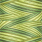 Signature 40: 3000 yard Variegated Coloured Thread