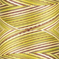 Signature 40: 3000 yard Variegated Coloured Thread
