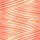 Signature 40: 3000 yard Variegated Coloured Thread