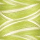 Signature 40: 3000 yard Variegated Coloured Thread