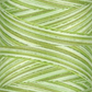 Signature 40: 3000 yard Variegated Coloured Thread