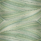 Signature 40: 3000 yard Variegated Coloured Thread