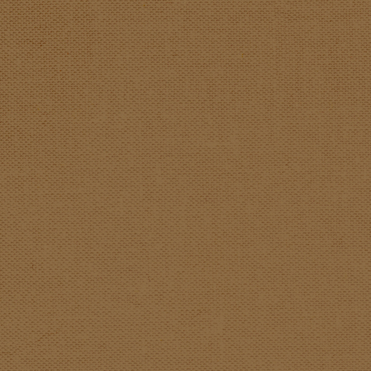 Devonstone Solids: Snag