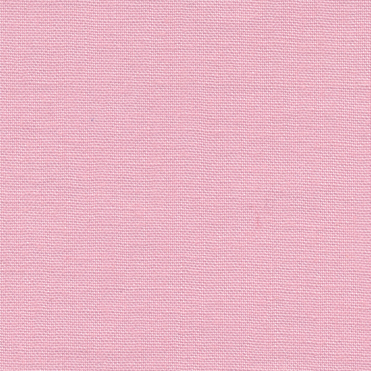 Devonstone Solids: Galah