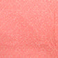 Little Creatures: Coral