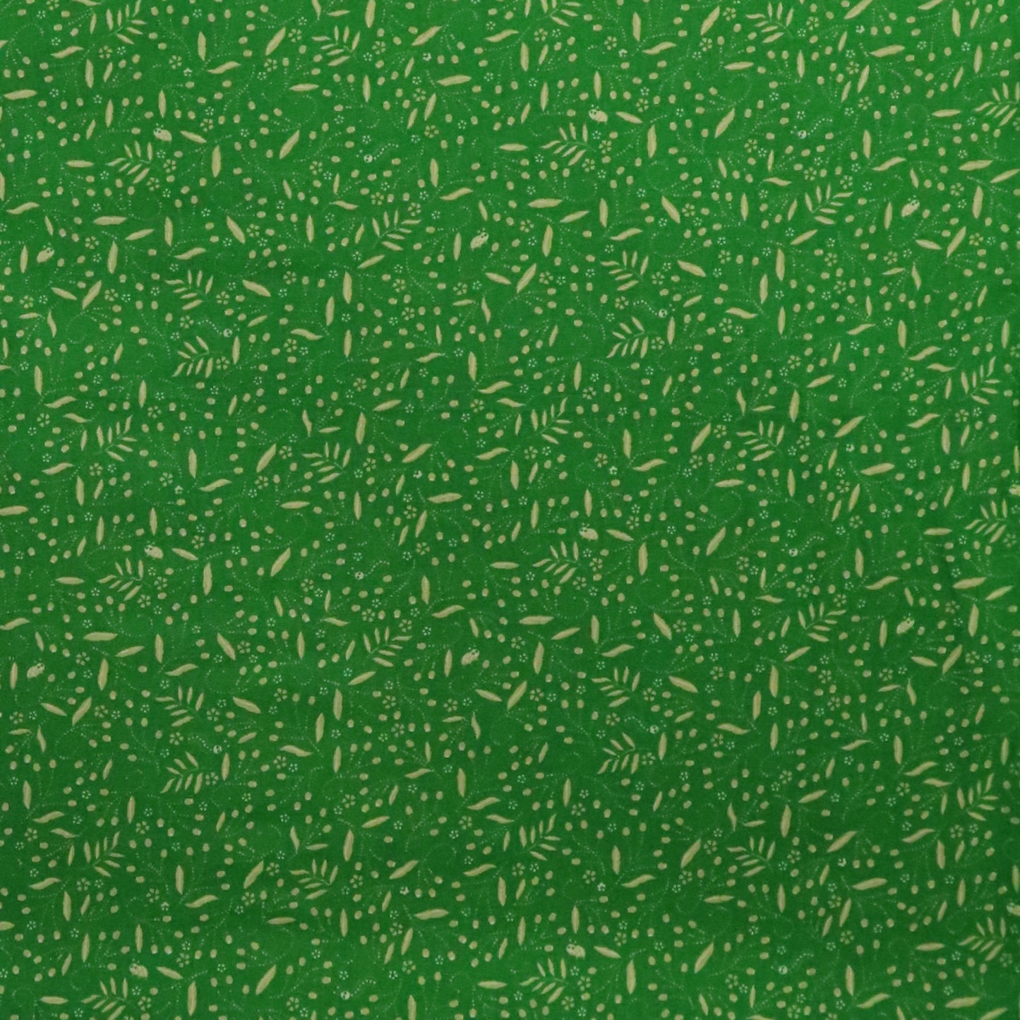 Little Creatures: Bright Green