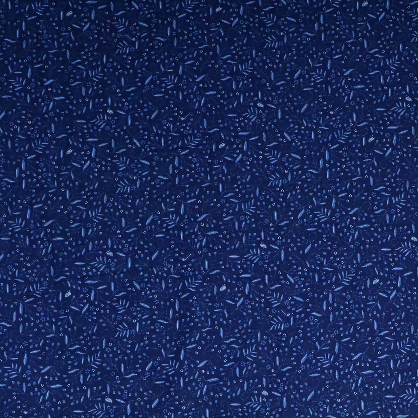 Little Creatures: Ultramarine